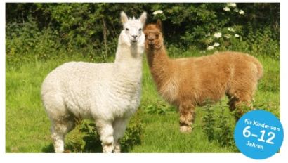 Pfingstferienprogramm