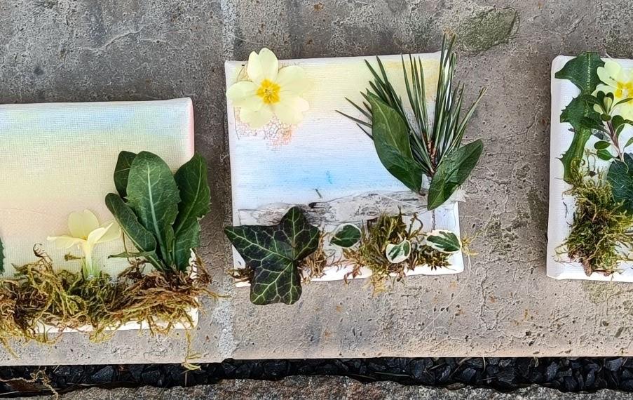 Landart Bilder