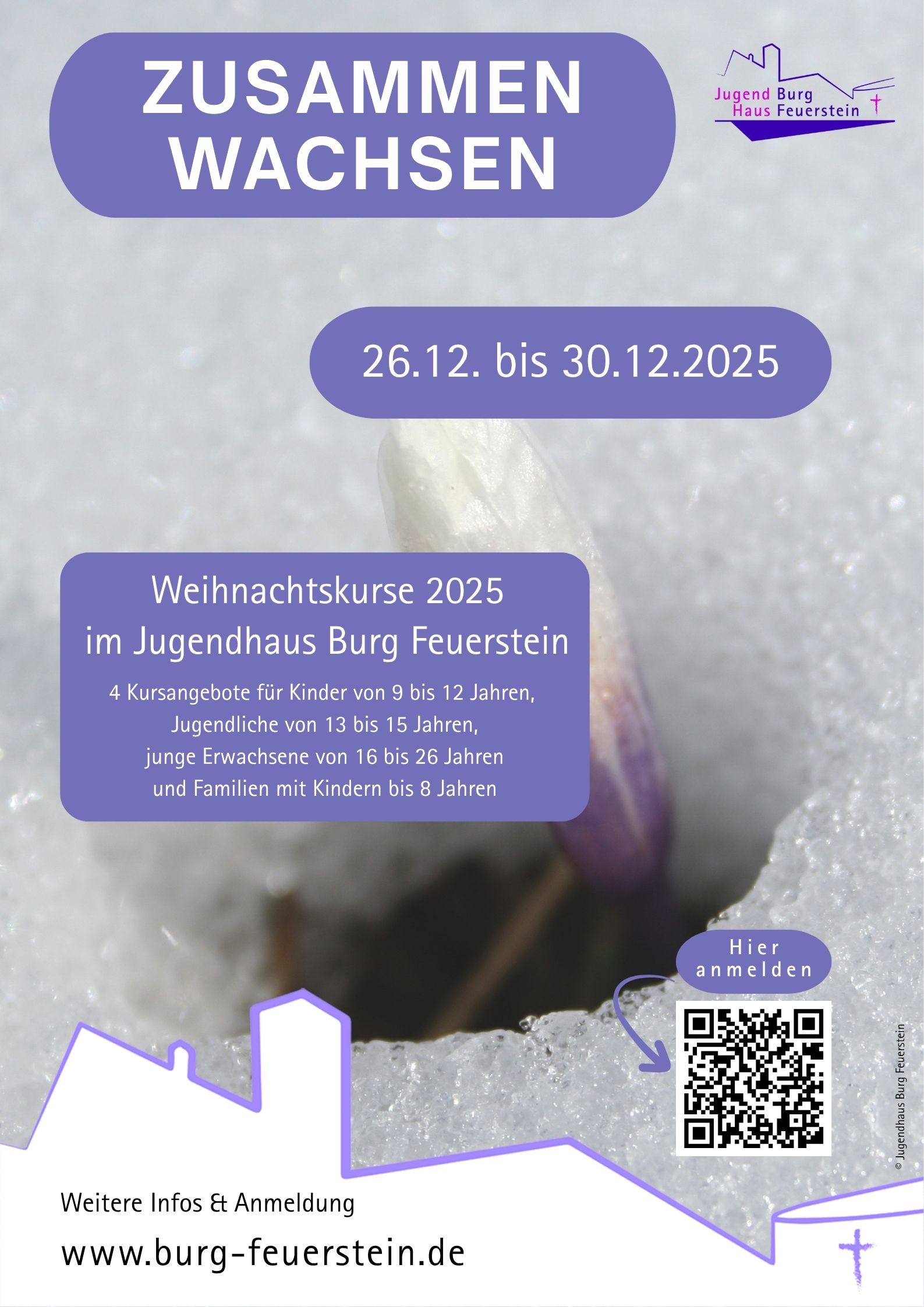 Plakat Weihnachtskurse 2025